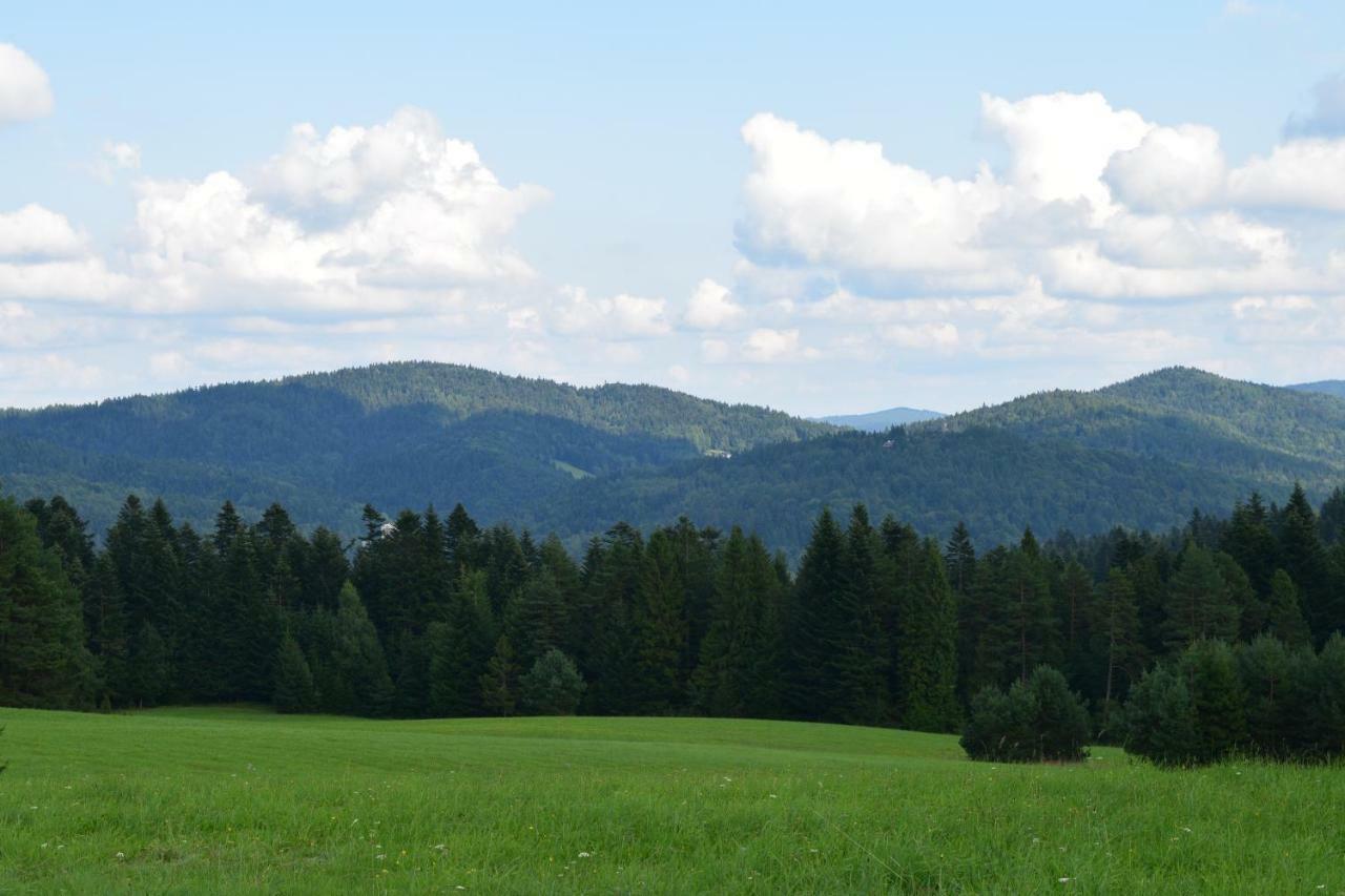 Forrest Apartment Krynica Экстерьер фото